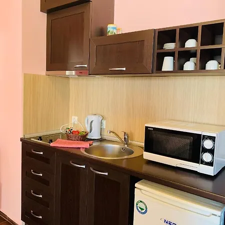 Studio Flat *