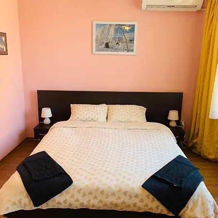Studio Flat